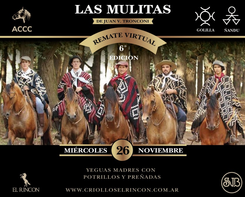 Remate virtual 6ta edición "Las Mulitas"