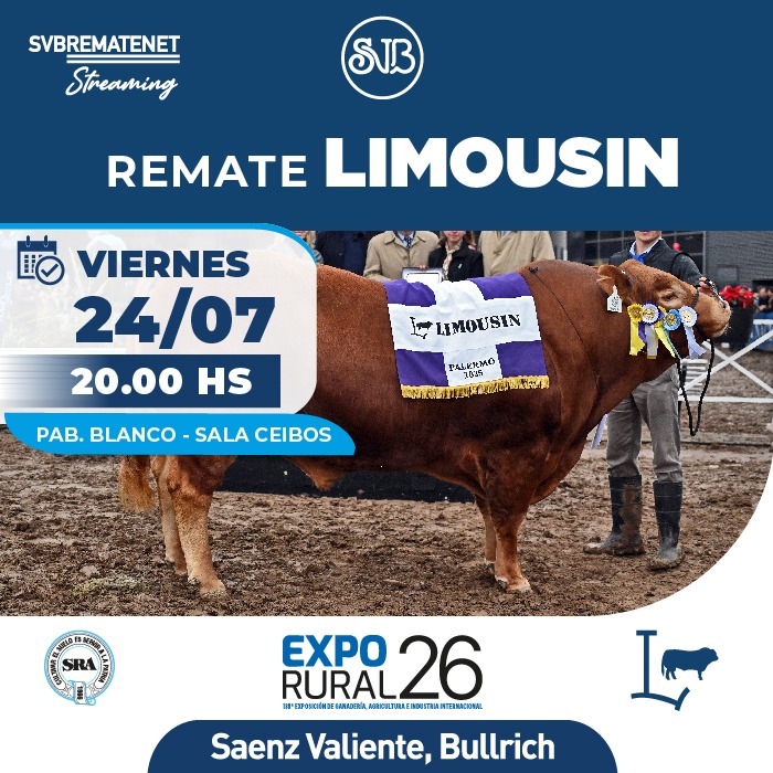 Limousin