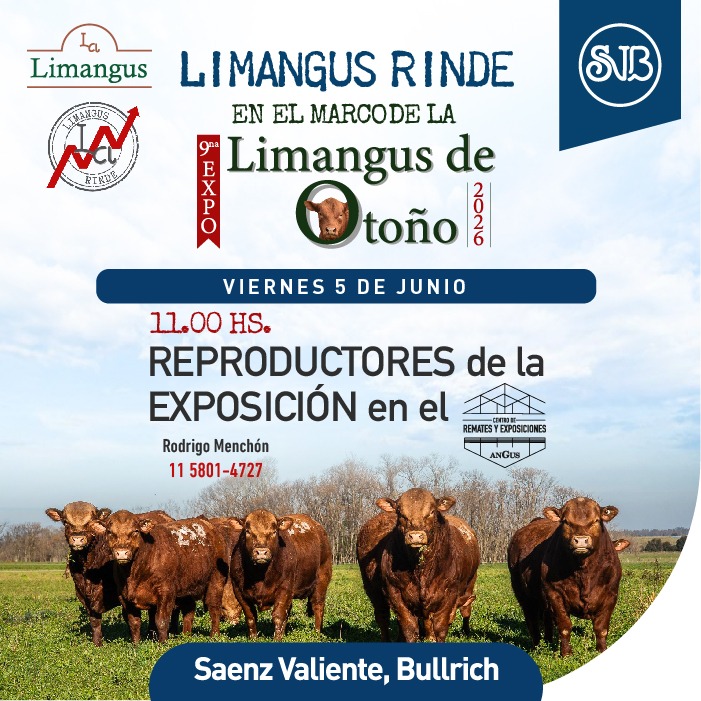 9° Expo Limangus - REPRODUCTORES