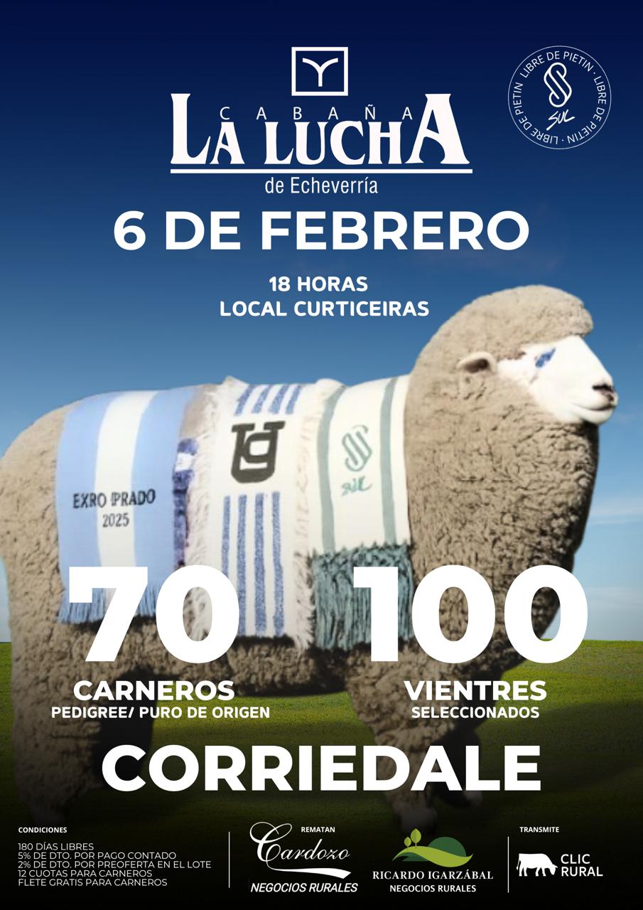 Remate Cabaña La Lucha