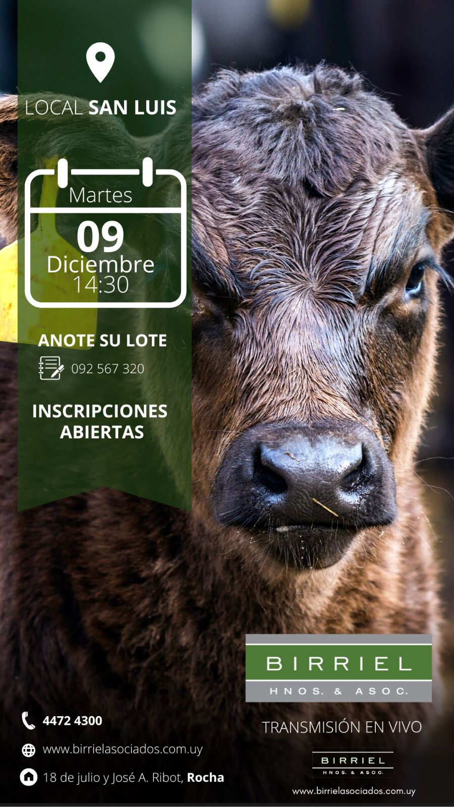 Remate Feria en San Luis