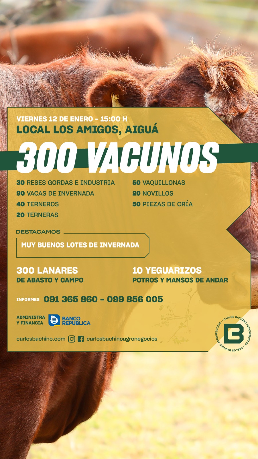 Afiche Feria Local "Los Amigos" Aiguá