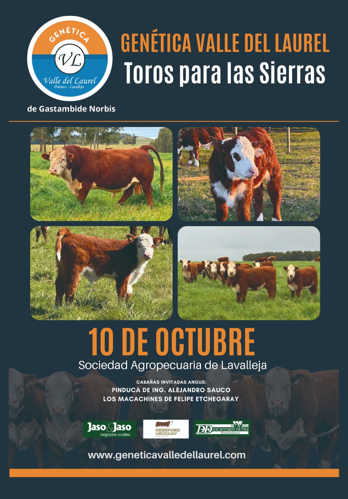 Afiche Todos para las Sierras - Valle del Laurel