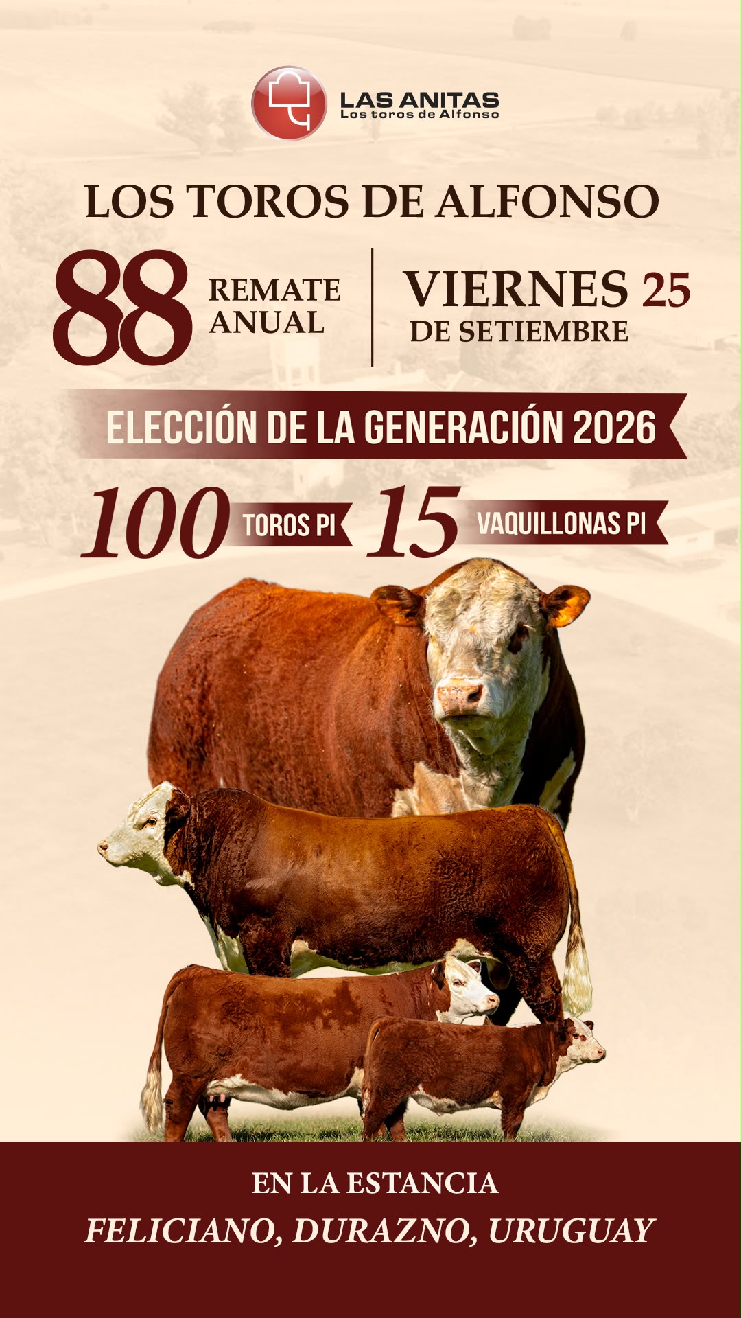 Afiche 88º Las Anitas