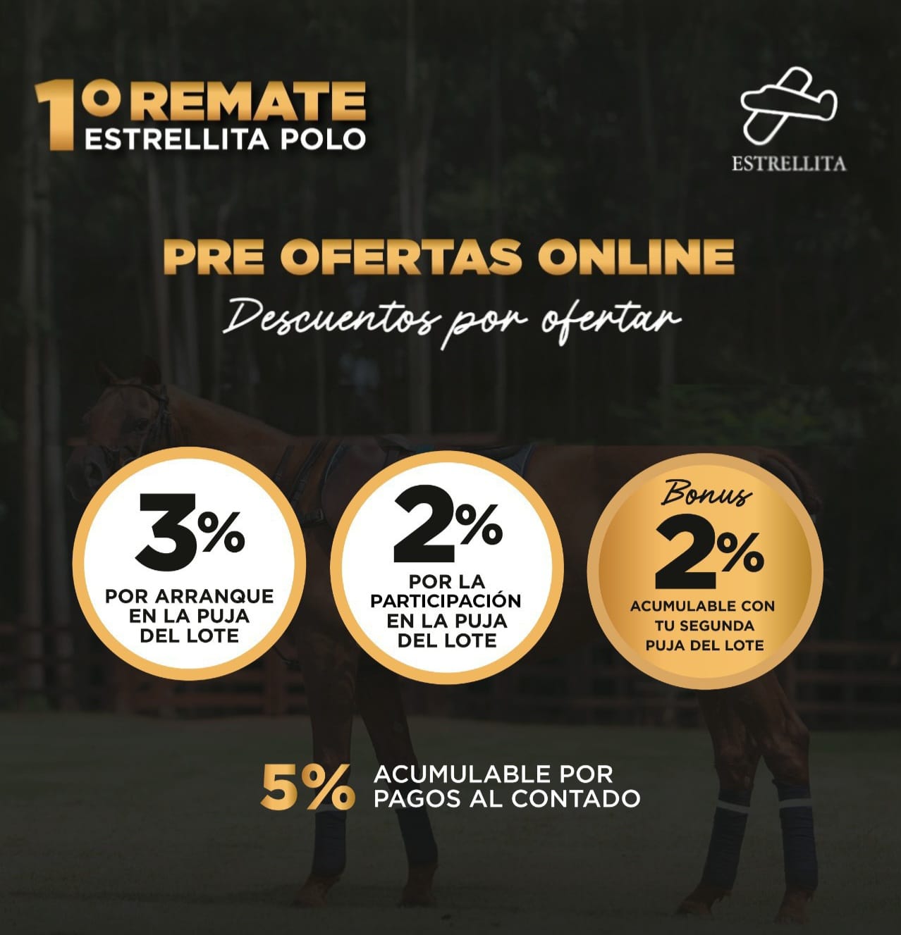Remate 1° Remate Estrellita Polo