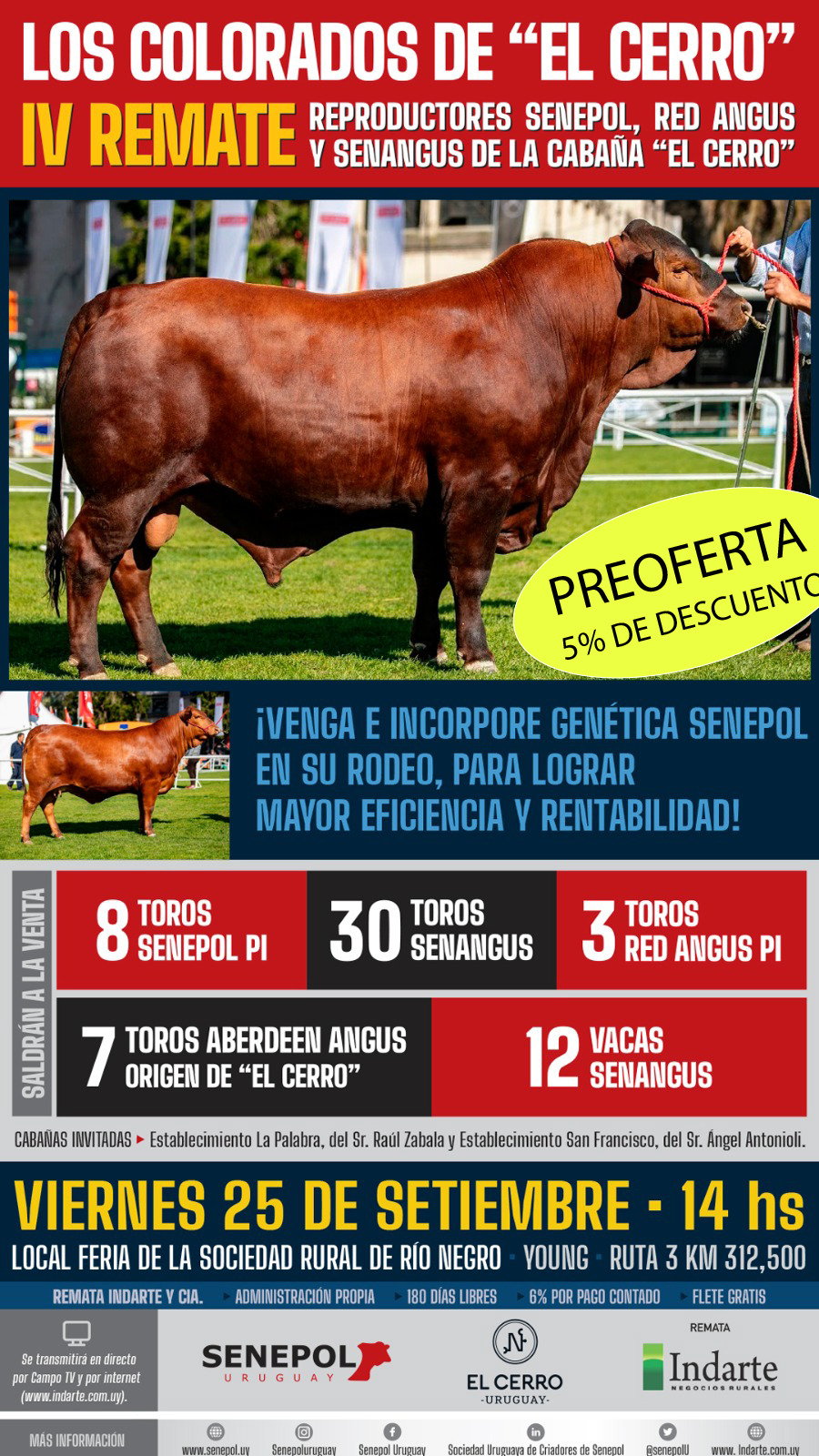 Afiche Los Colorados de "El Cerro"