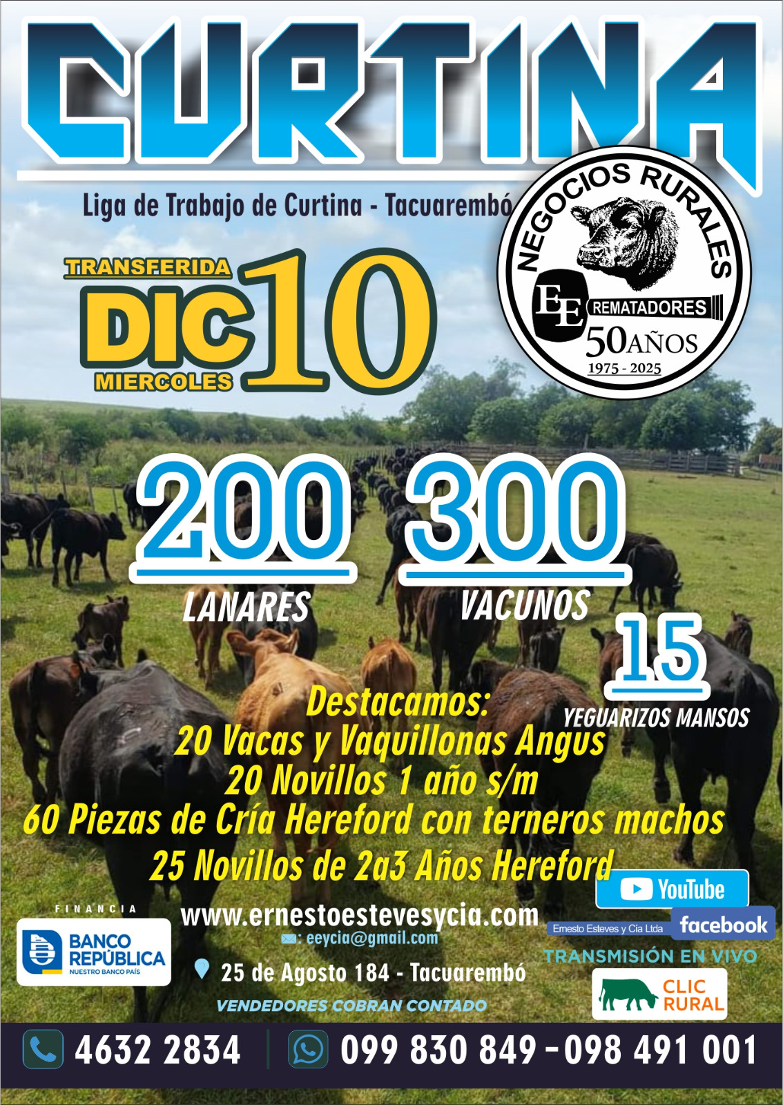 Remate Feria Mensual - Curtina