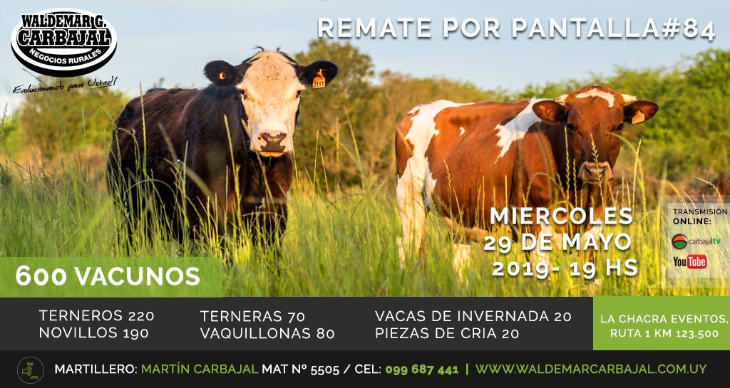 Afiche Pantalla #84