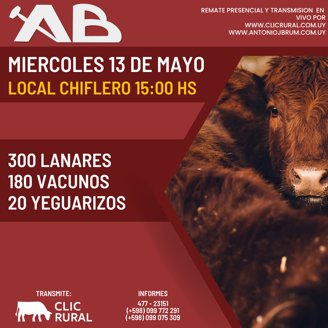 Feria general - Antonio J Brum