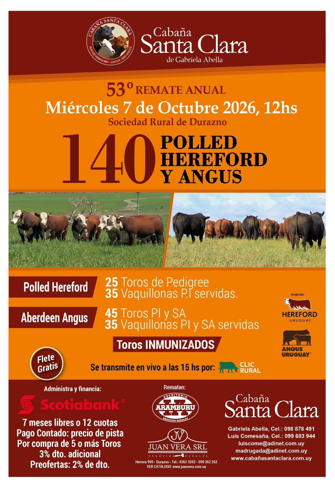 Remate 53º Santa Clara de Gabriela Abella