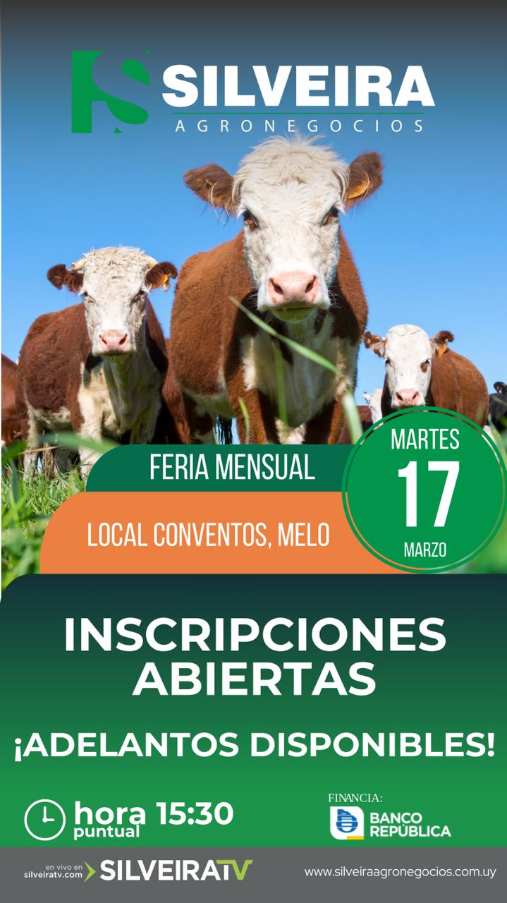 Feria Quincenal - Silveira Agronegocios