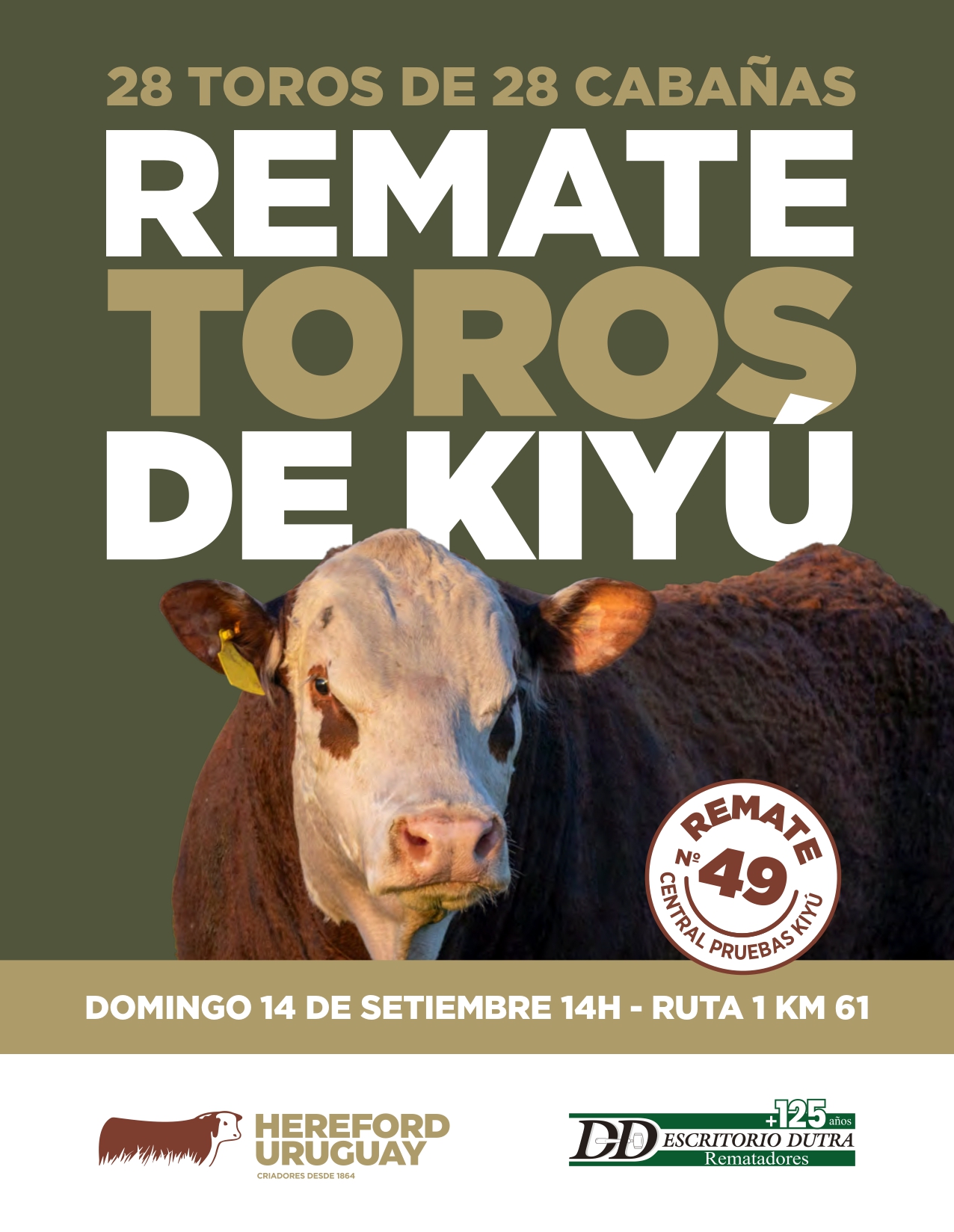 Remate Los Toros de Kiyú