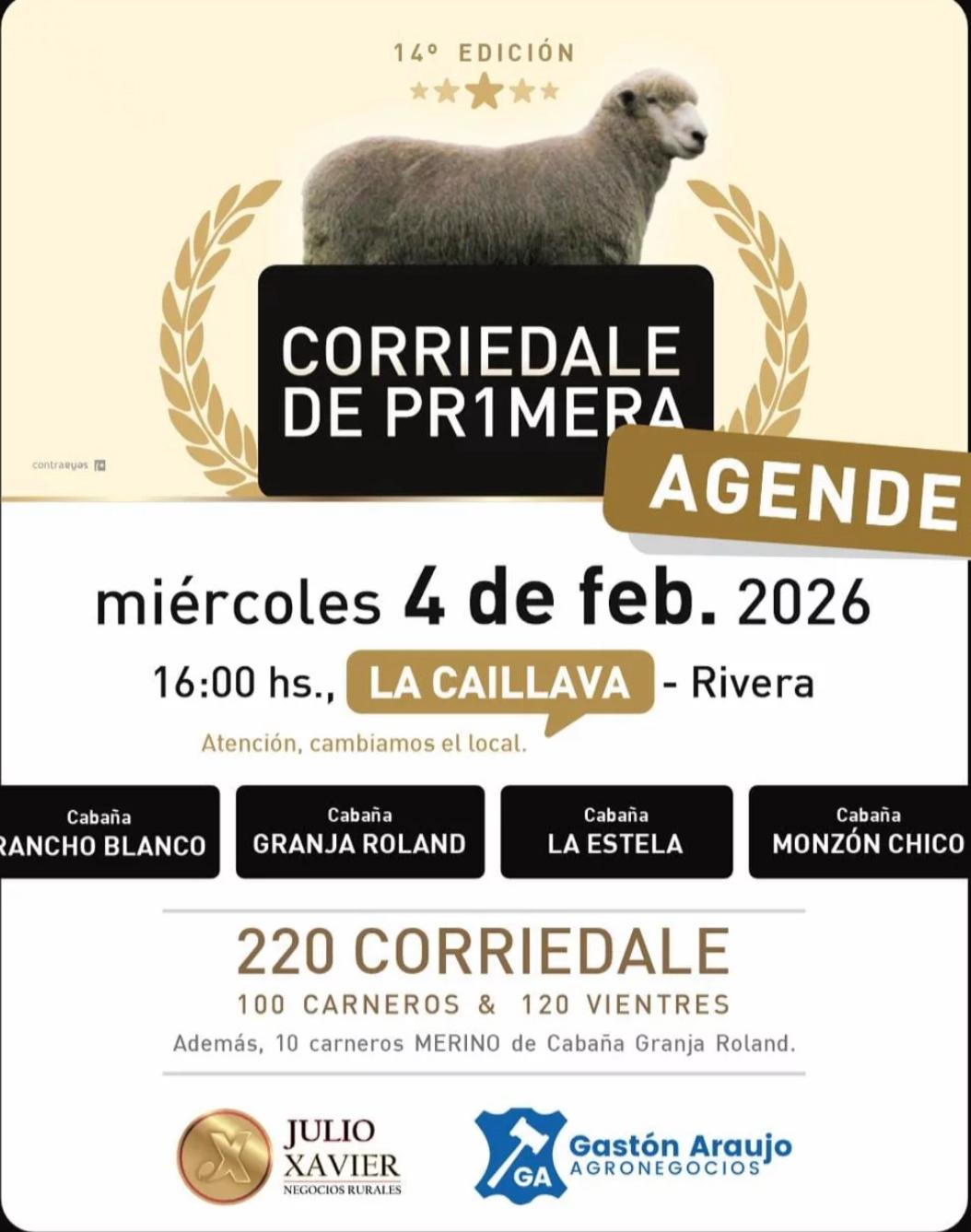 Remate Corriedale de pr1mera