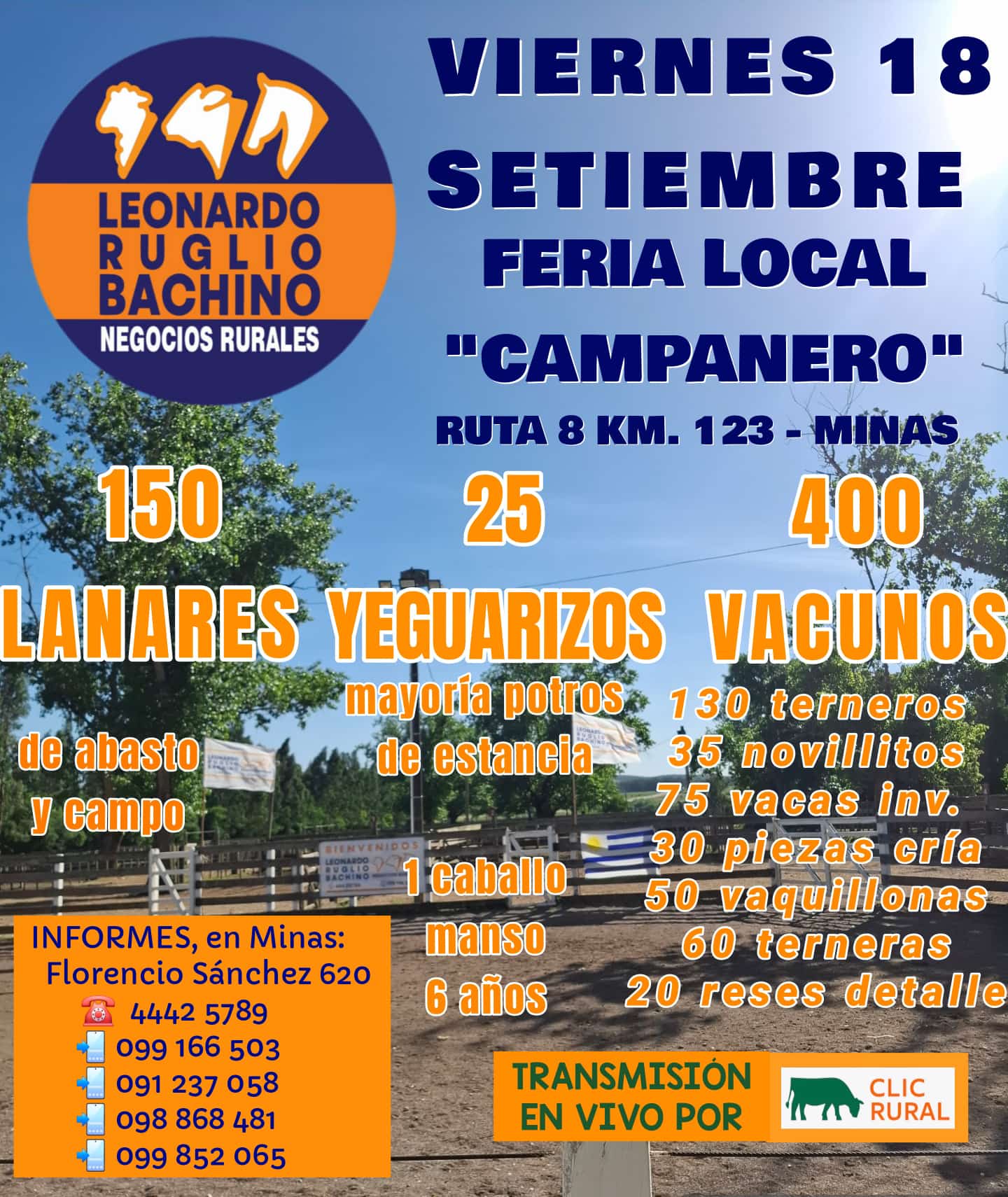 Afiche Feria
