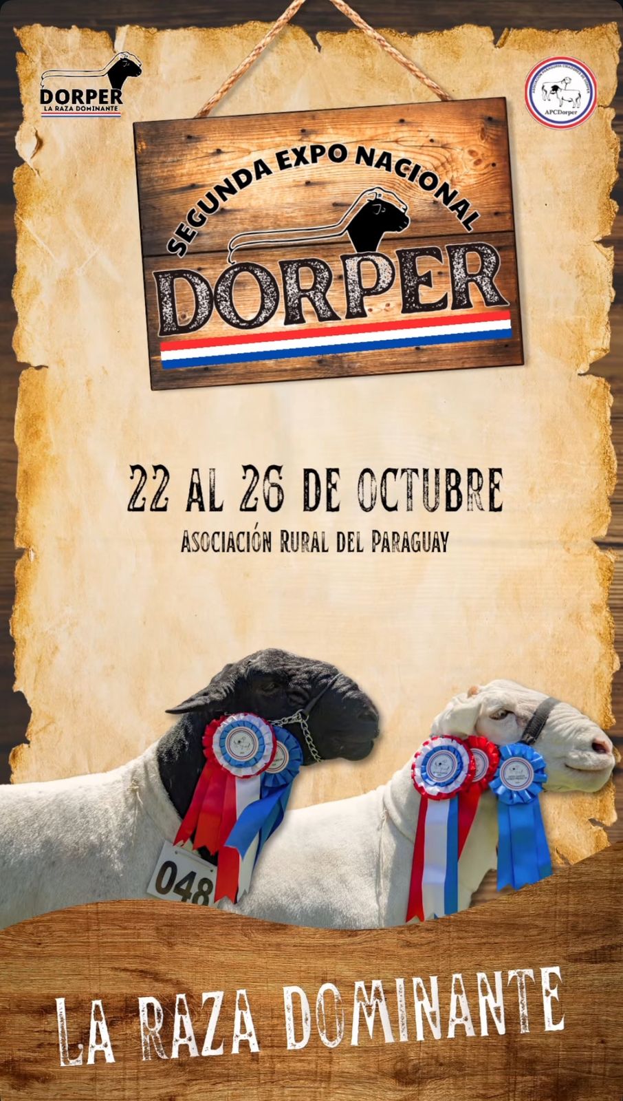 Remate Segunda Expo Nacional Dorper