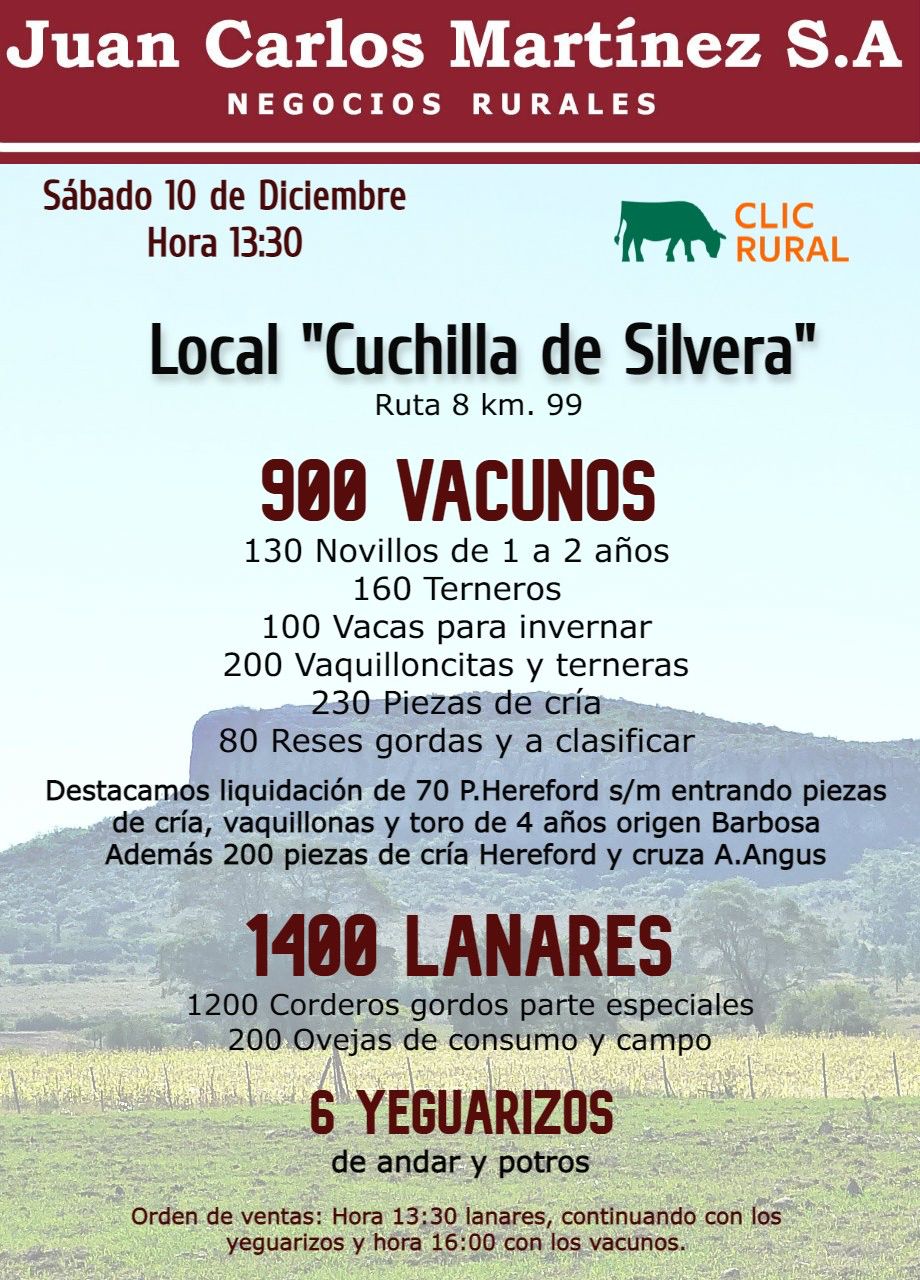 Afiche Remate Juan Carlos Martínez