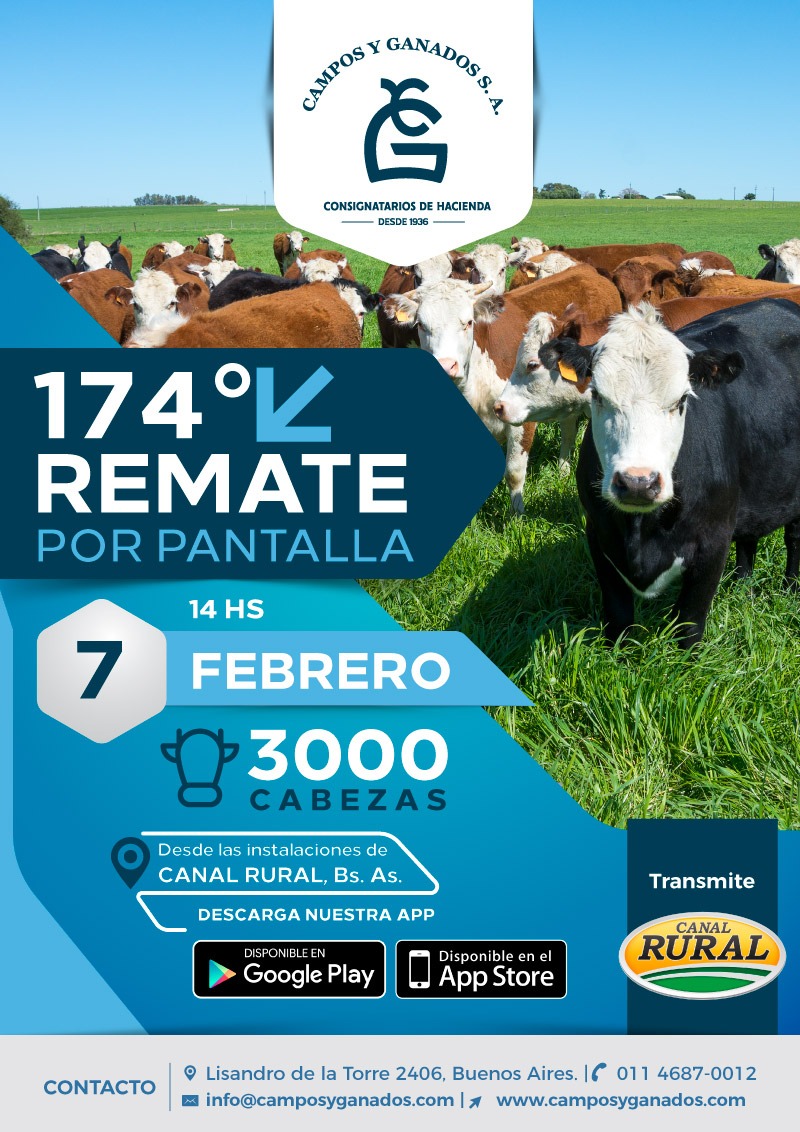Afiche 174 REMATE POR PANTALLA