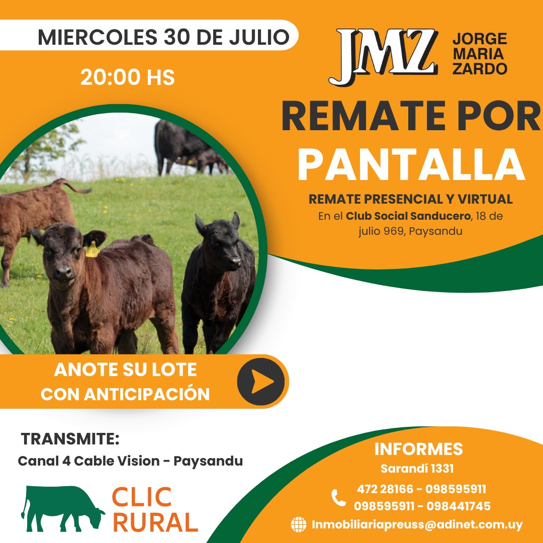 Remate Pantalla JMZ