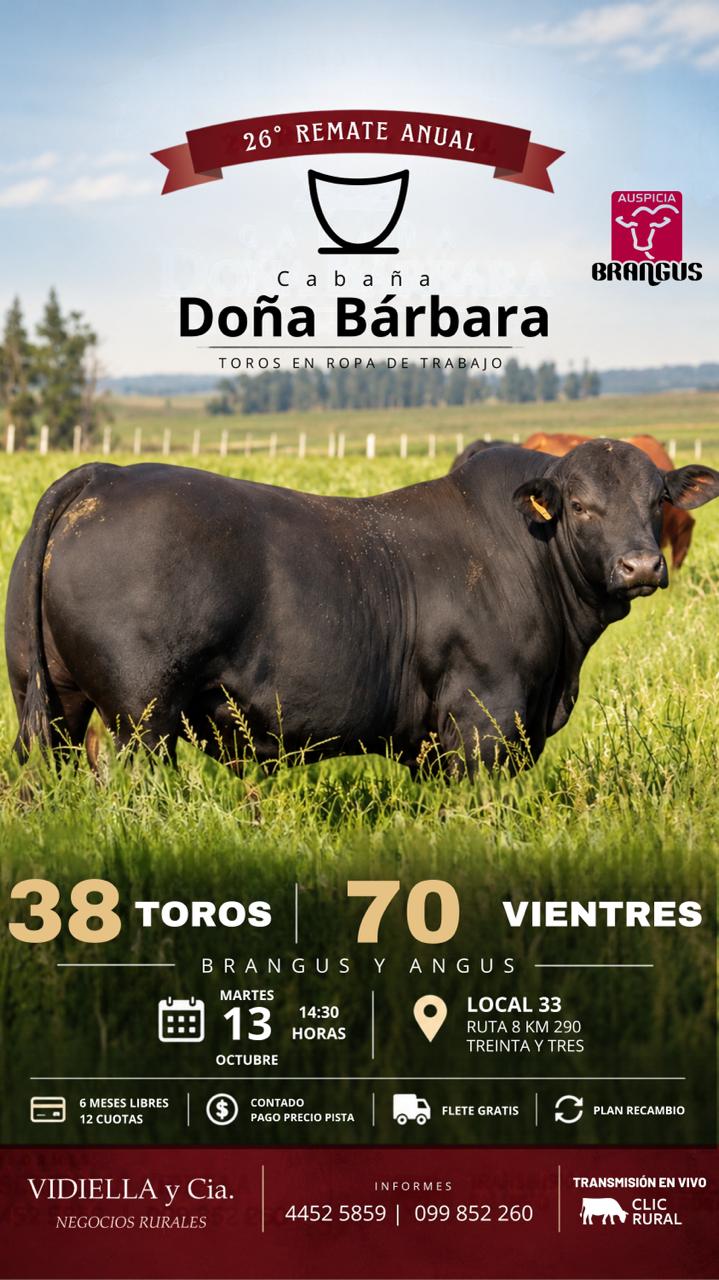 Remate 26º Doña Barbara