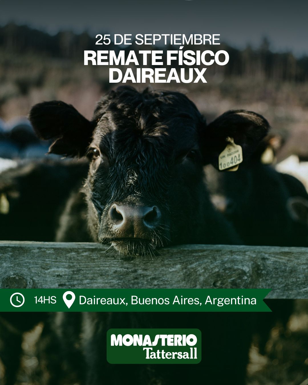 Remate Remate Físico Daireaux