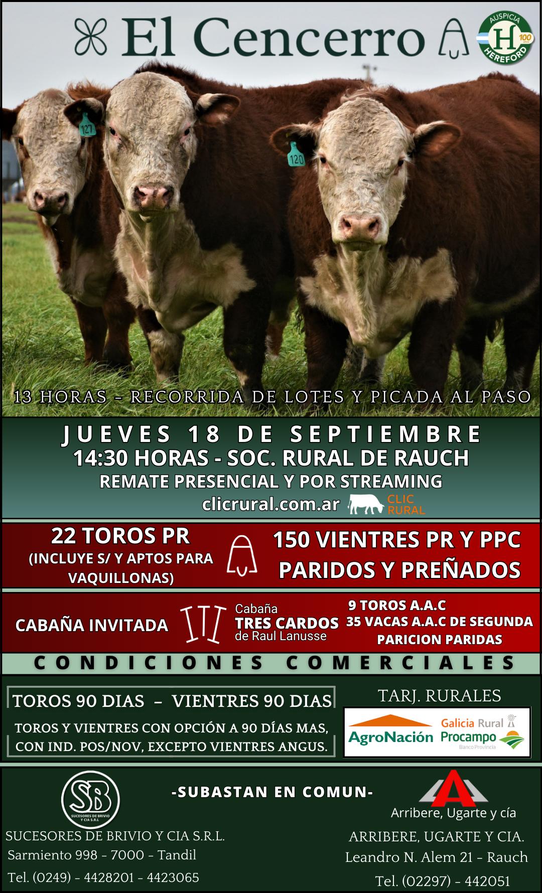 Remate 18 de Septiembre - Rauch