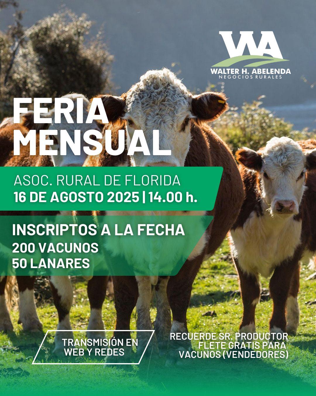 Feria Mensual