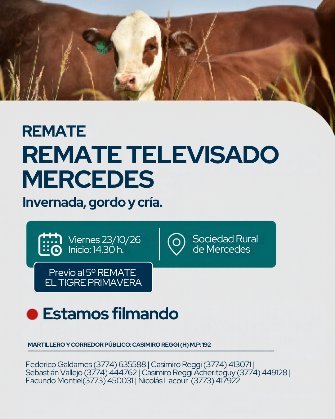 Remate televisado Mercedes