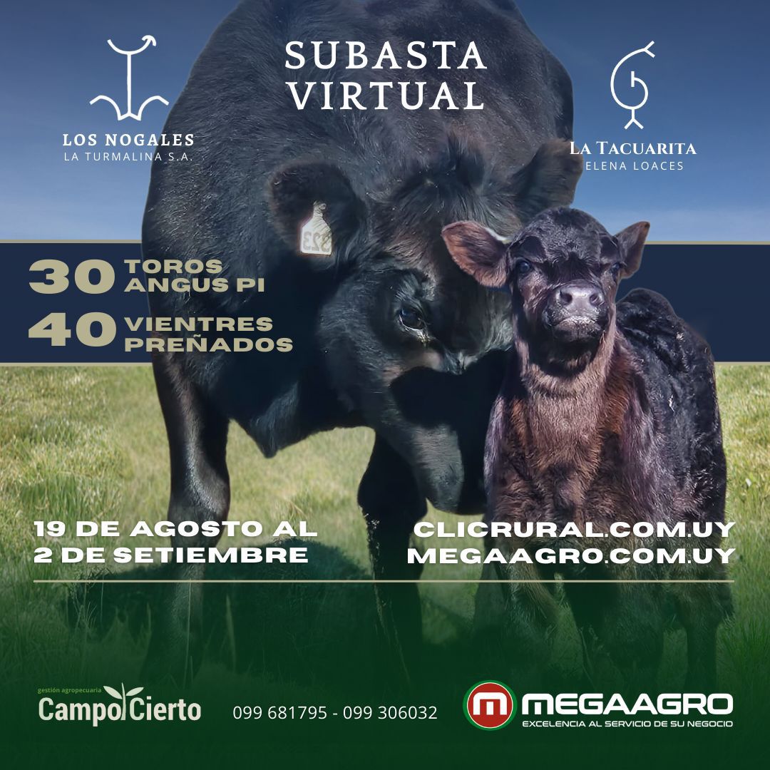 Los Nogales y La Tacuarita