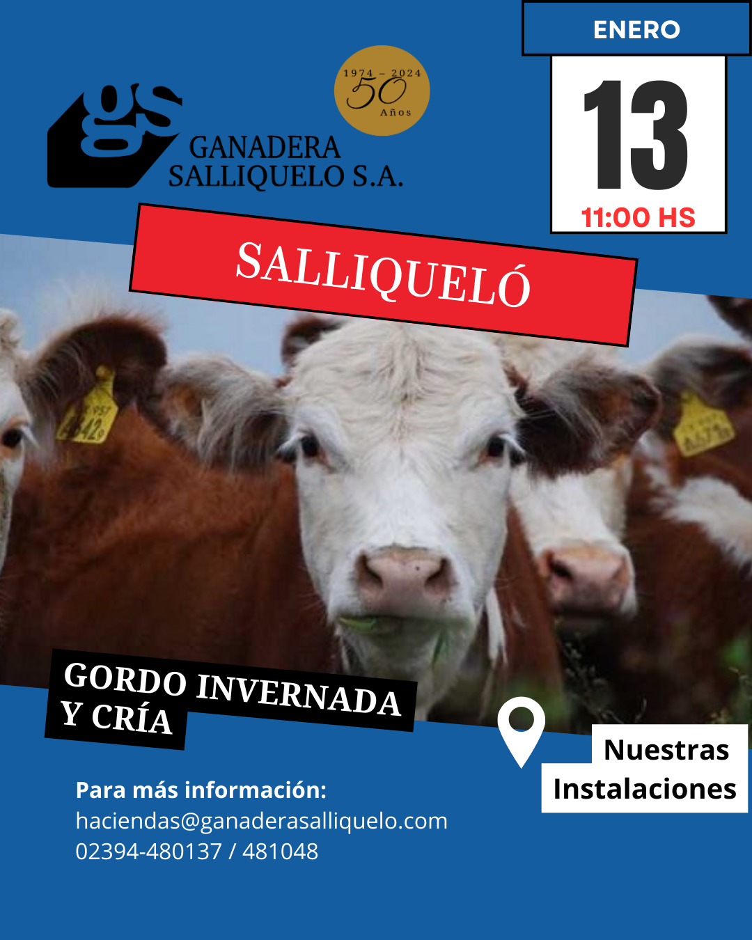 Remate REMATE FERIA GANADERA SALLIQUELÓ S.A. - Gordo, Invernada y Cría