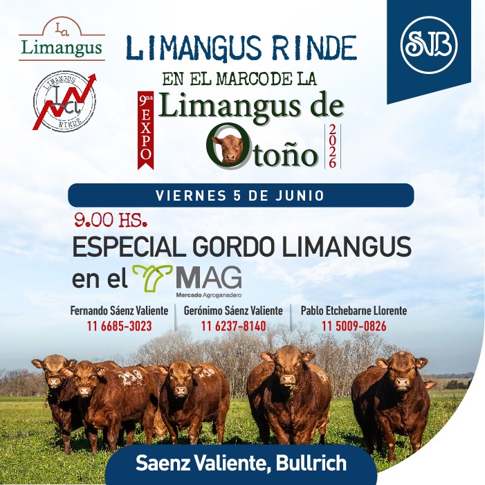 9° Expo Limangos - GORDO