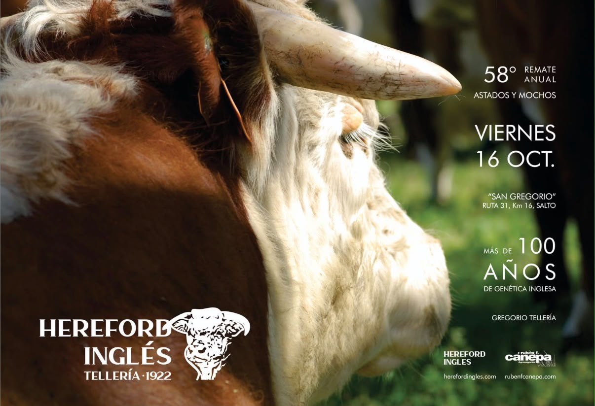 Afiche 58º Hereford Ingles