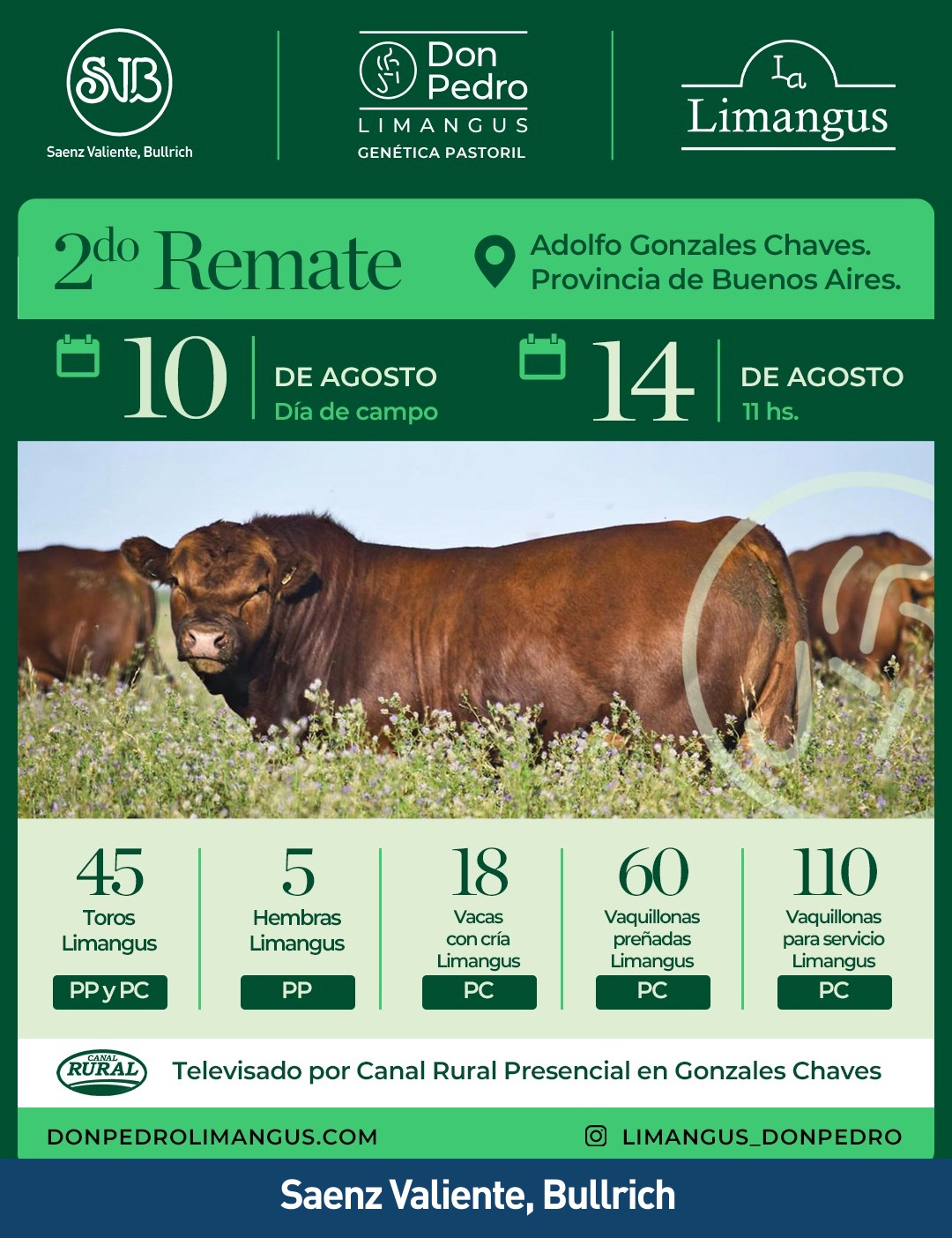 Remate Don Pedro