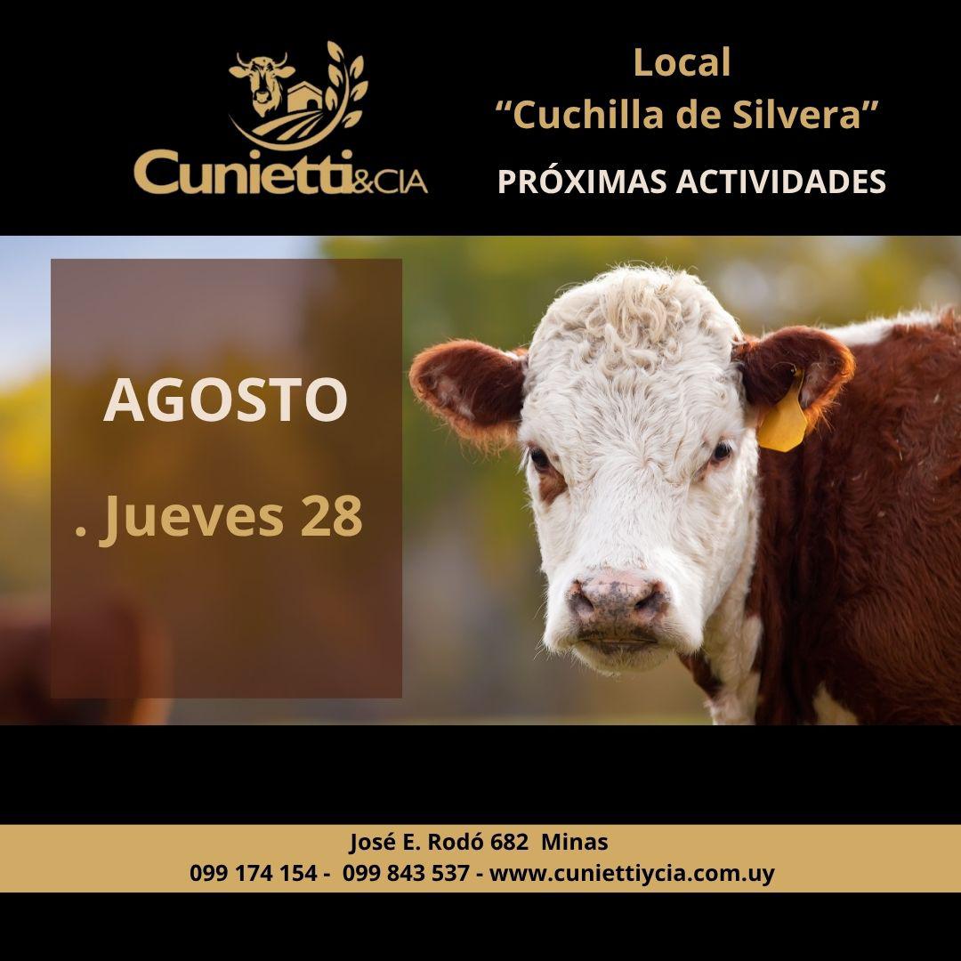 28 DE AGOSTO - Local Cuchilla de Silvera