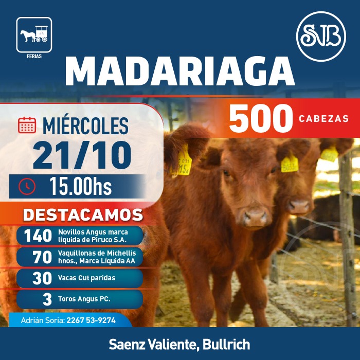 Feria en Gral. Madariaga