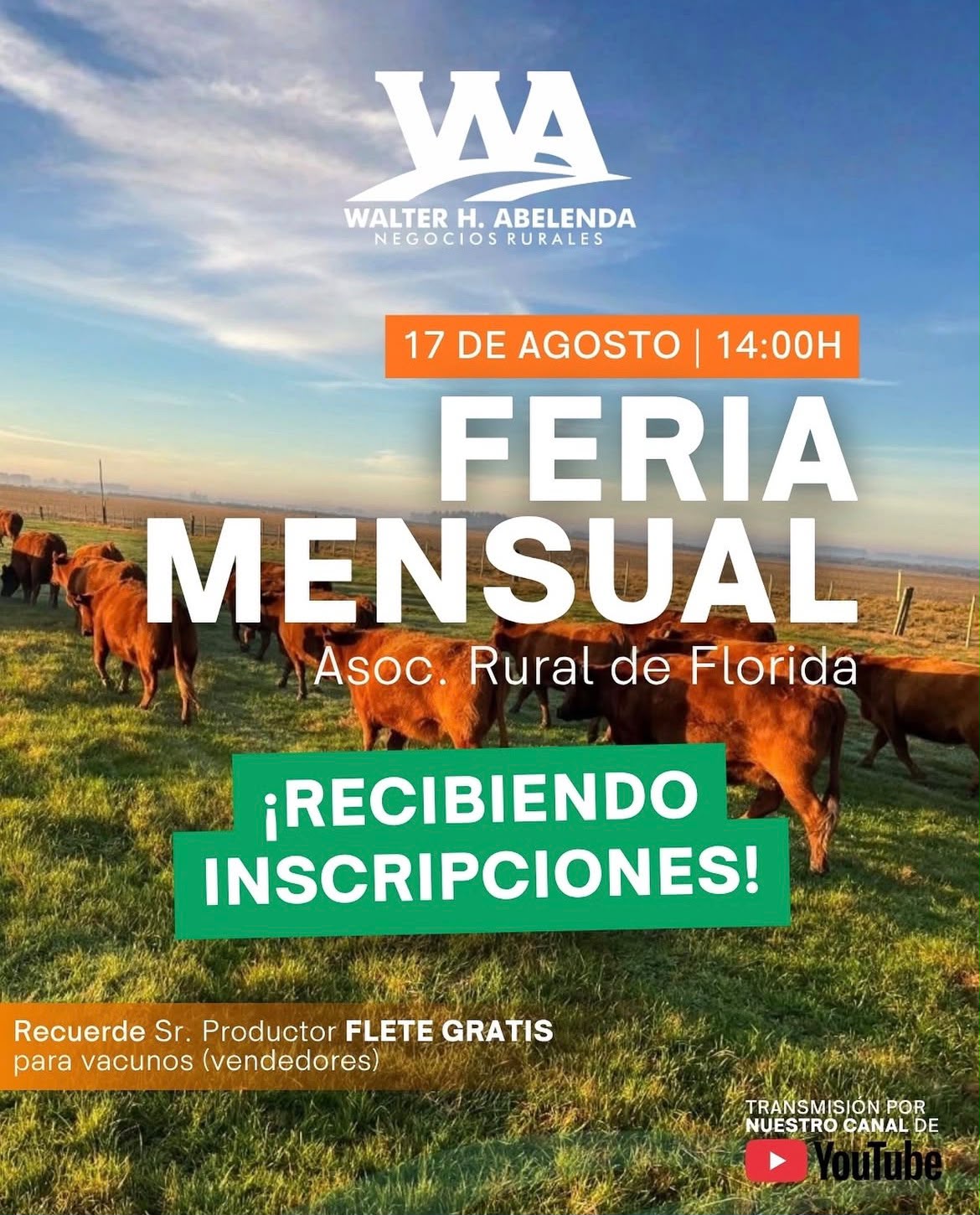 Feria mensual - Walter H Abelenda