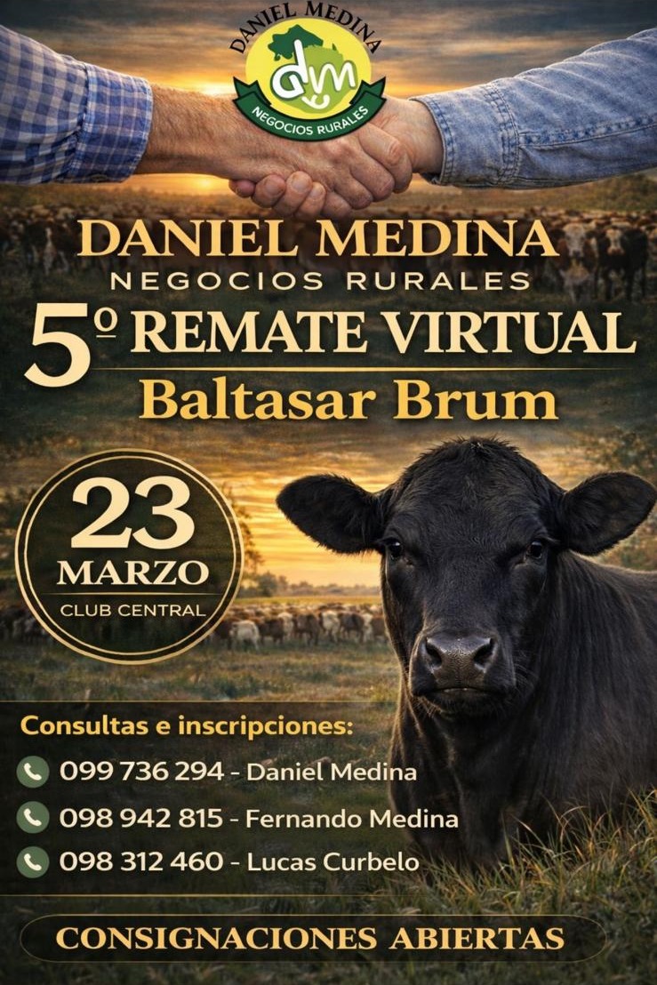 Remate 5º Remate Virtual