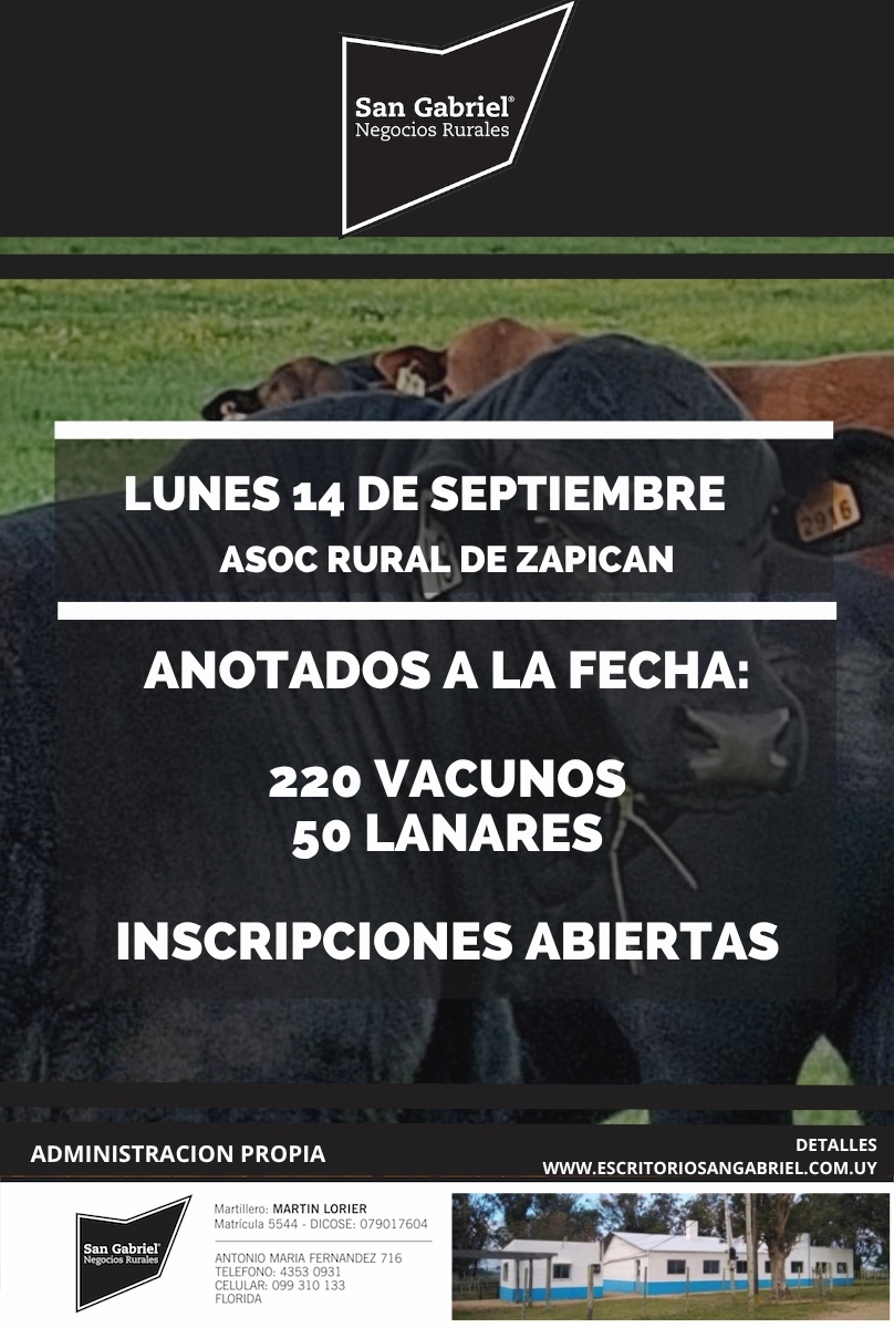Remate Feria mensual - Asoc Rural de Zapican