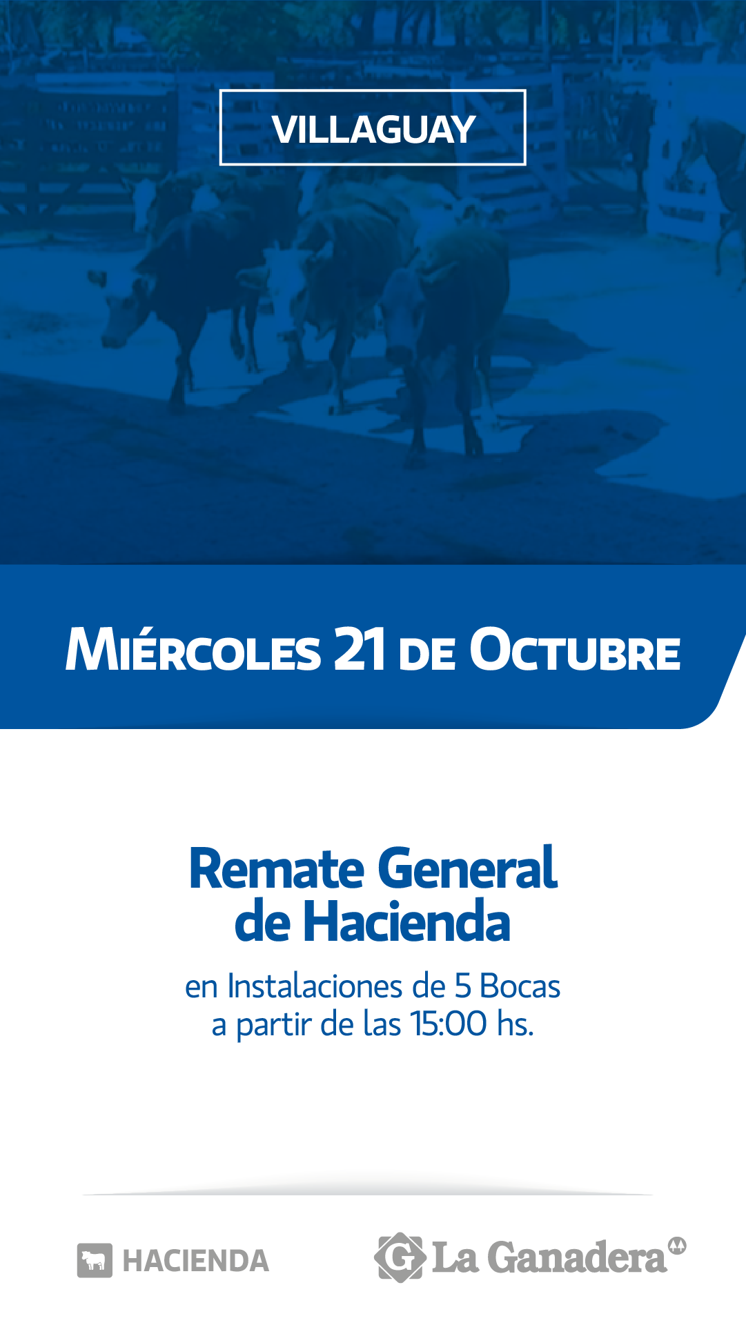 Afiche REMATE FERIA 5 BOCAS - PASO DE LA LAGUNA