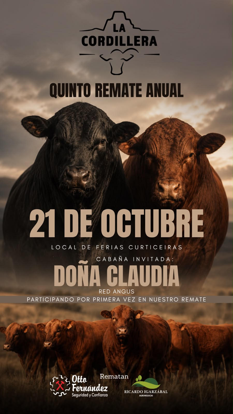 Afiche 5º La Codillera