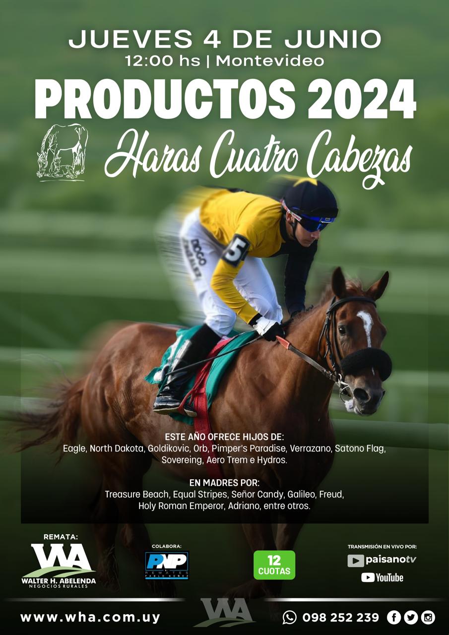 Haras Cuatro Cabezas