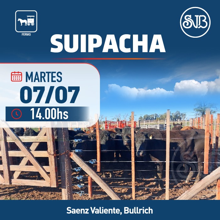 Feria en Suipacha