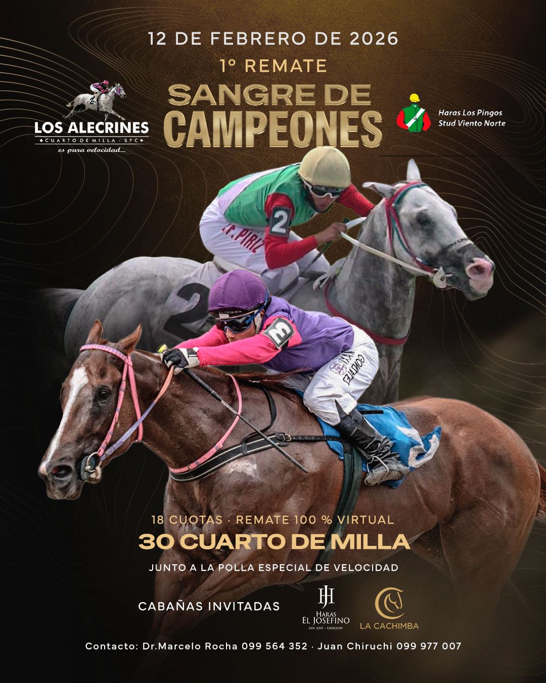 1ER REMATE - SANGRE DE CAMPEONES