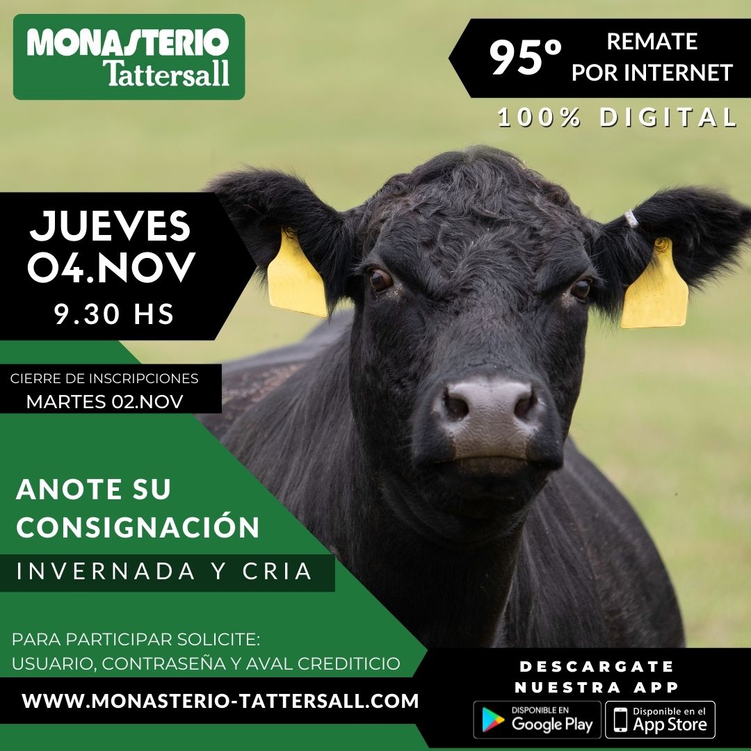 Afiche 95° Remate por Internet