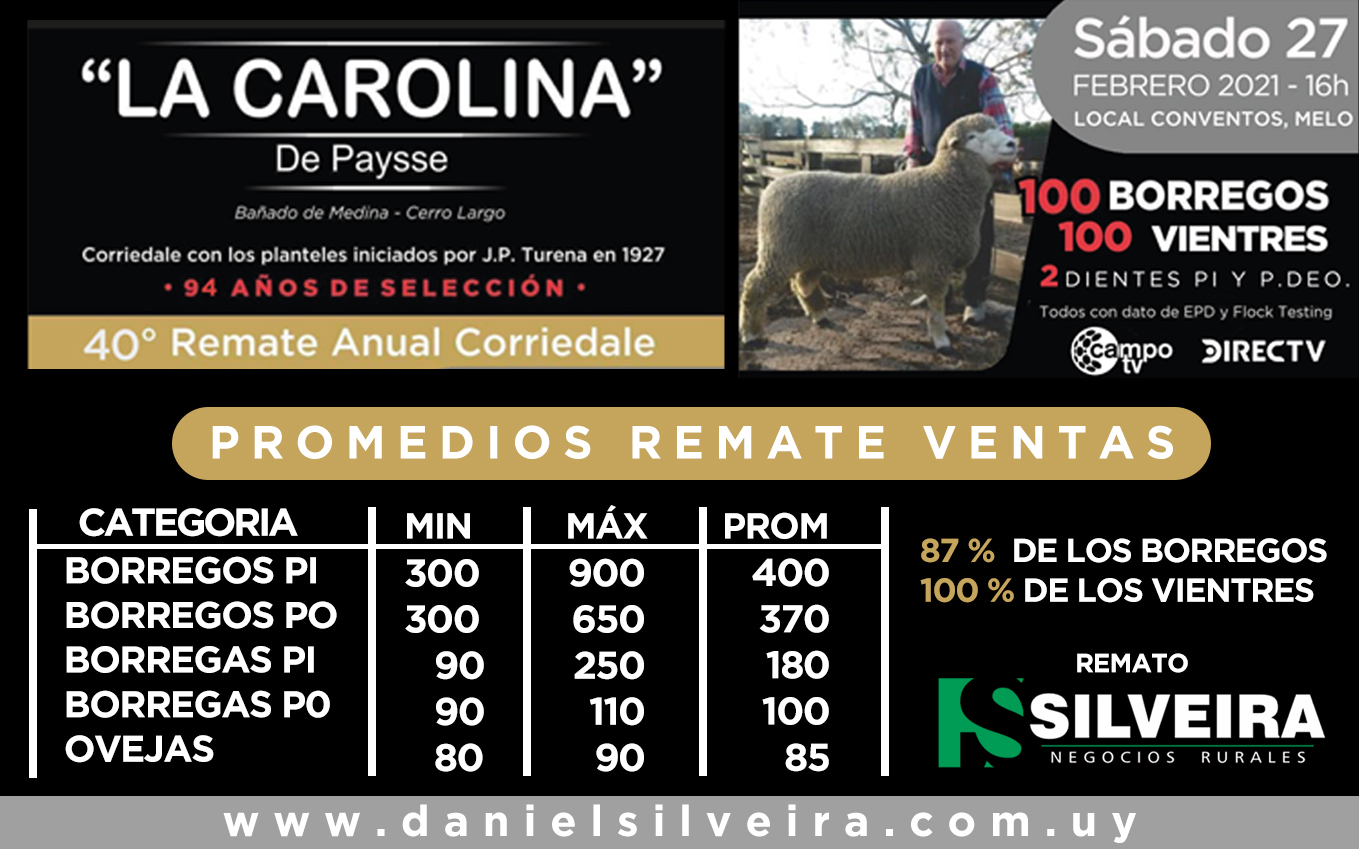 Afiche La Carolina Corriedale