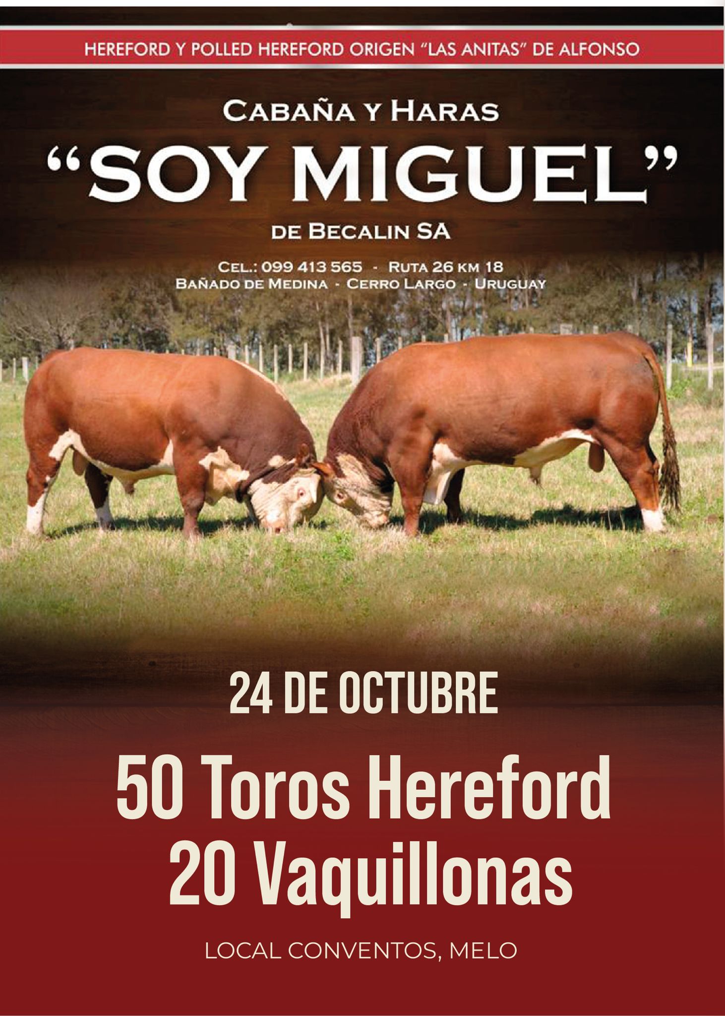 Afiche Cabaña y haras "Soy Miguel"