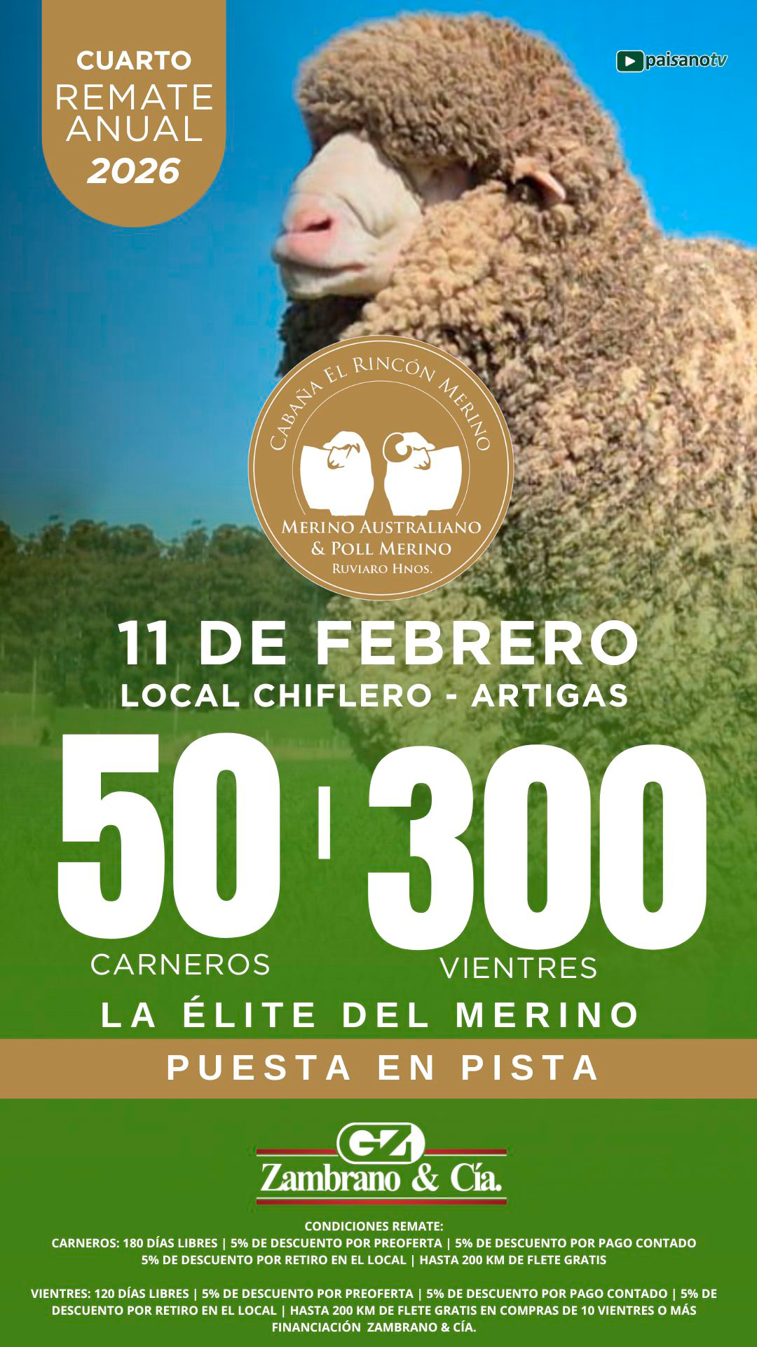 Remate EL RINCÓN MERINO