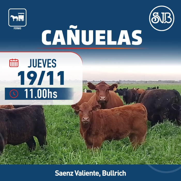 Afiche Feria en Cañuelas