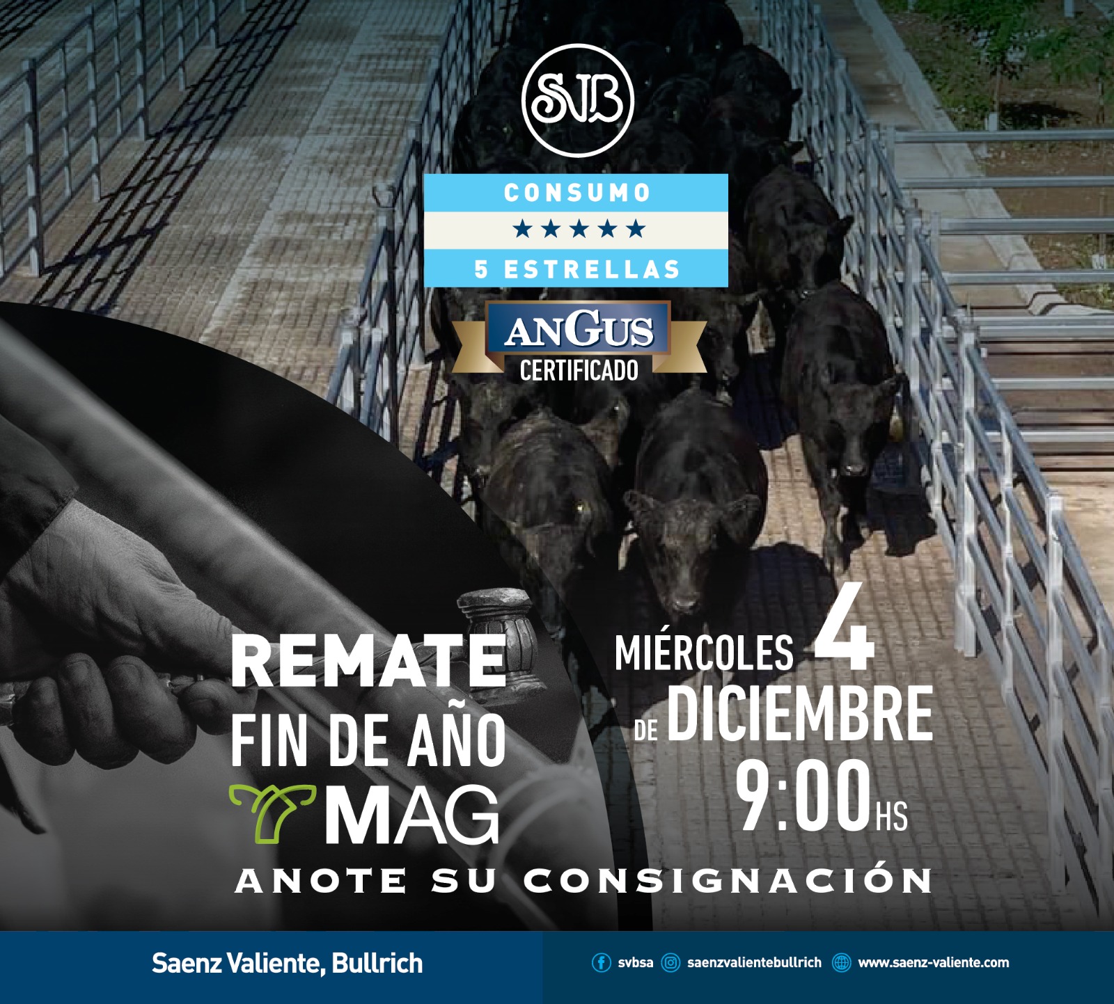 Saenz Valiente Bullrich Y Cia S A Angus Certificado saenz-valiente-bullrich-y-cia-s-a-angus-certificado