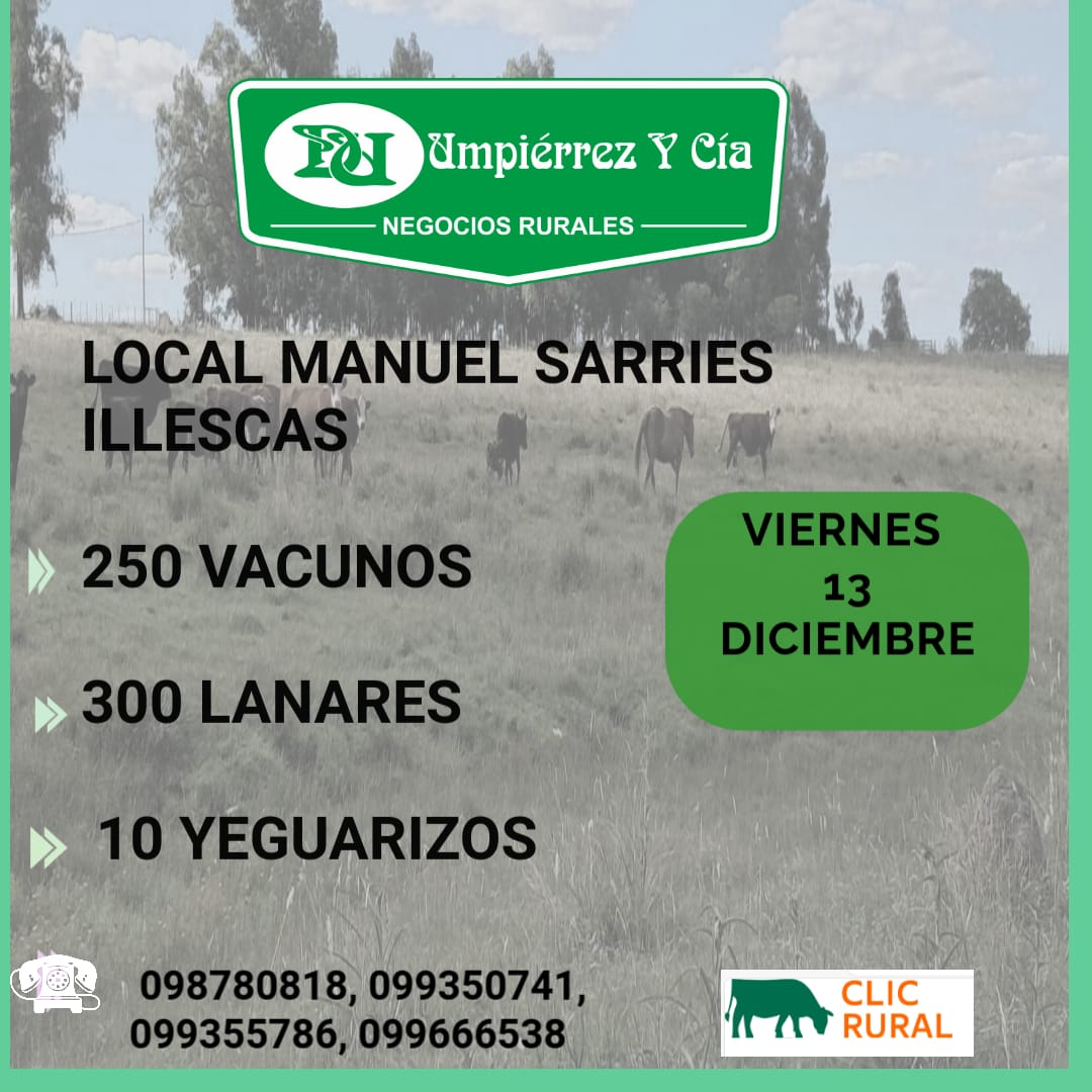 Afiche Feria Mensual - Illescas