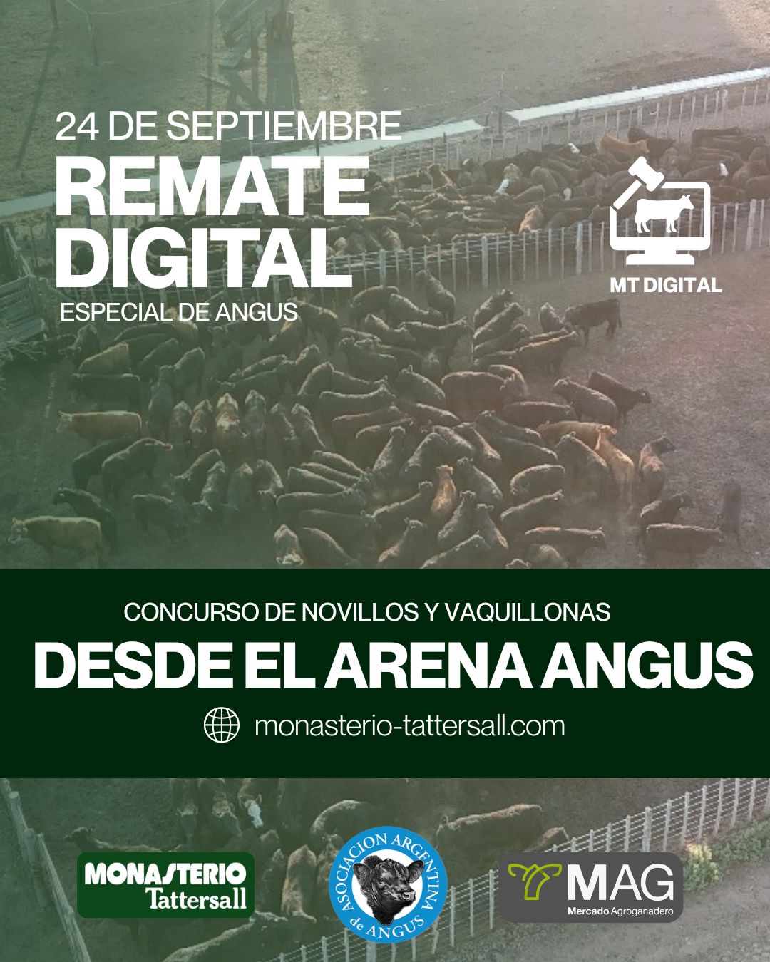 Remate Remate Digital ANGUS